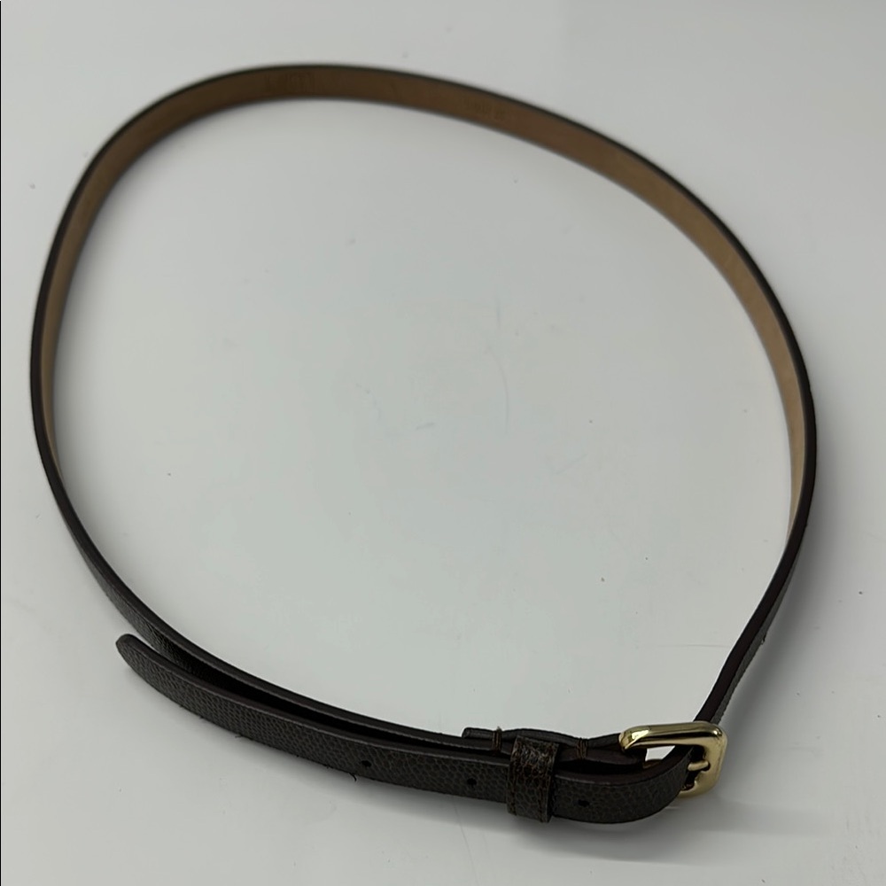 ANN TAYLOR LOFT Skinny Brown Leather Belt